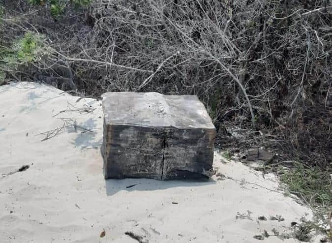 Recalan 50 kilos de cocaína en Playa del Carmen