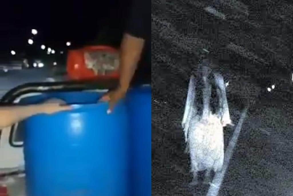 Usan el llanto de 'la llorona' para que en Nayarit la gente se quede en casa