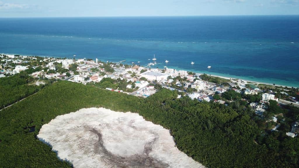 Ciudadanos violan cuarentena para frenar ecocidio junto a hotel El Cid en Puerto Morelos