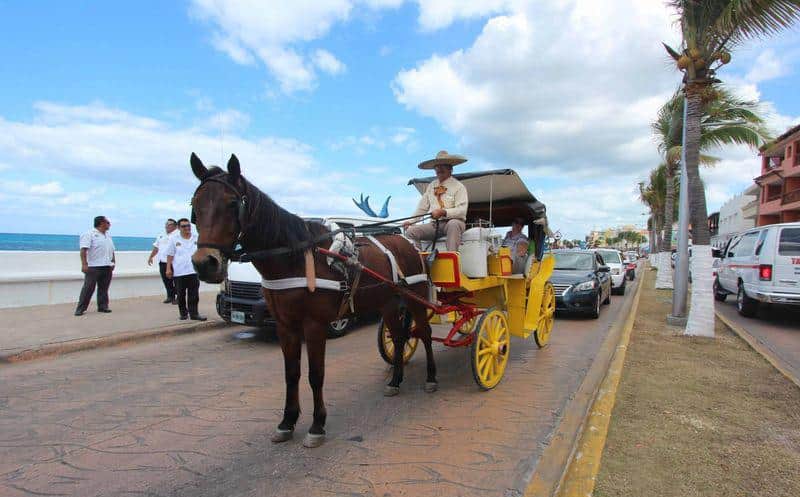 Caleseros se resisten a dejar de circular por Cozumel