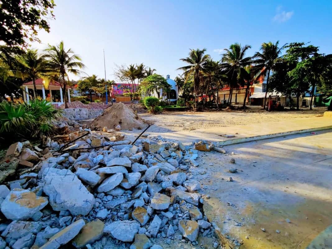 Negligencia de contratistas: Talan árboles en proyecto de remodelación de la Quinta Avenida