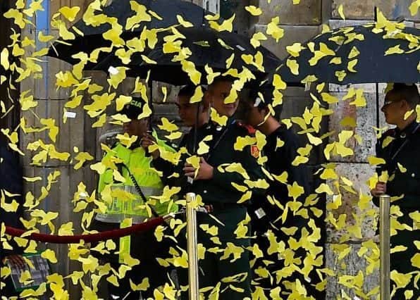 ¡Miles de mariposas amarillas llegan a la ciudad de Mérida!