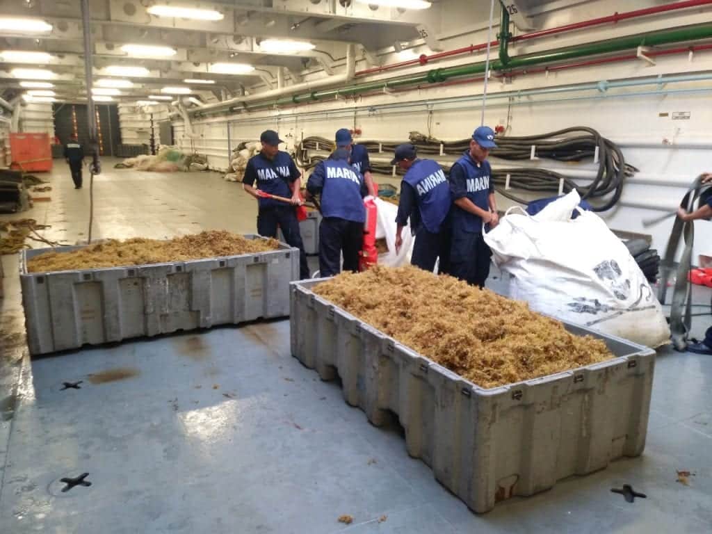 Recolecta Semar 5.6 mil toneladas de sargazo en dos meses