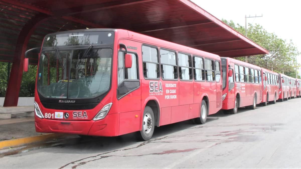 Aumentan concesionarias de transporte 15% su flota en Cancún