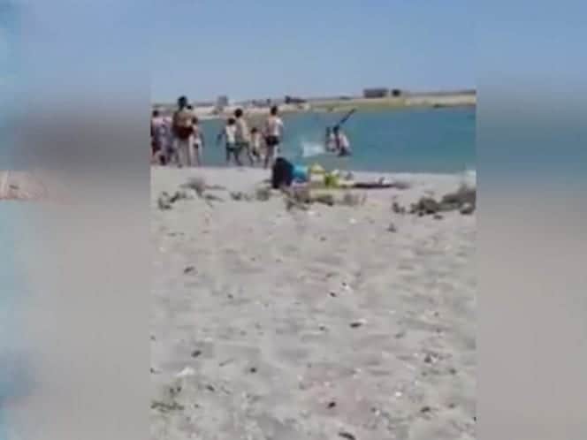Video: Turistas dejan inconsciente a una foca para tomarse fotos con ella