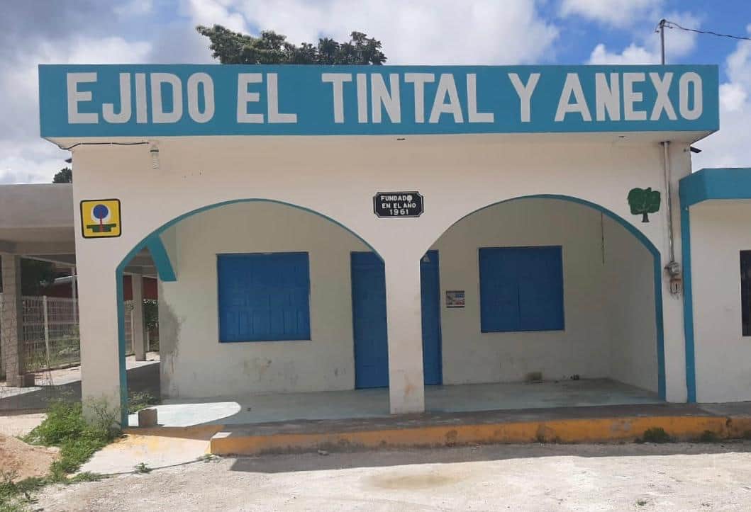 Hacen a un lado a ejidatarios locales en suministro y mano de obra para el Tren Maya