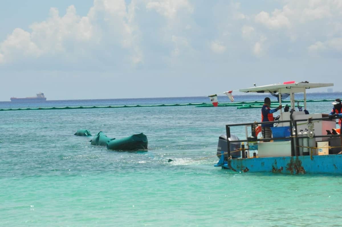 Dañan barreras antisargazo en Playa del Carmen