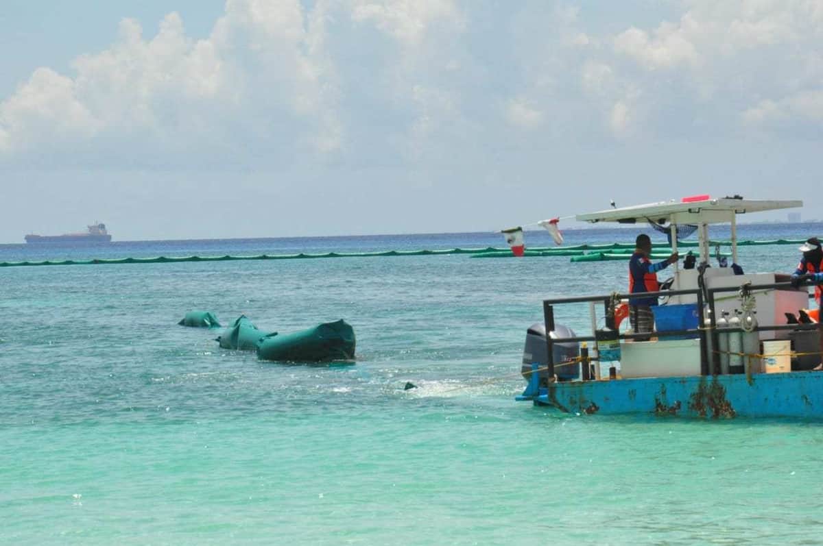 Dañan barreras antisargazo en Playa del Carmen