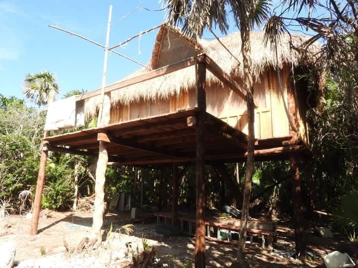Desarrollo Urbano de Cozumel permite construcción de cabañas en área protegida
