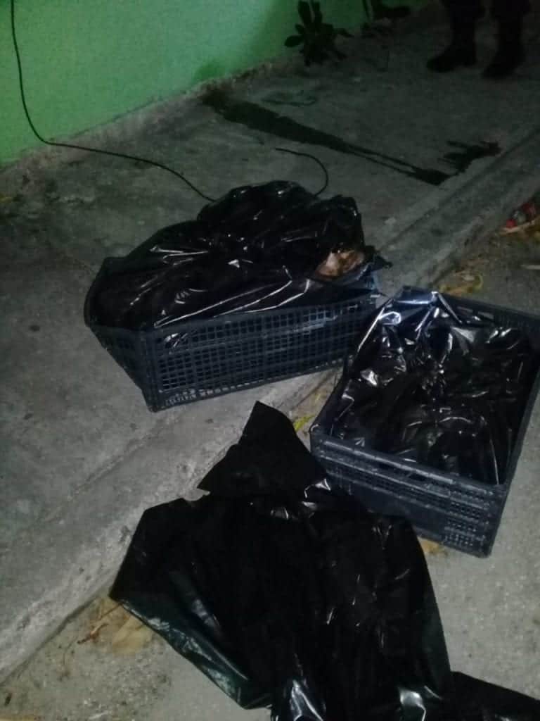 Cruda violencia: Hallan cuerpo descuartizado en Cancún