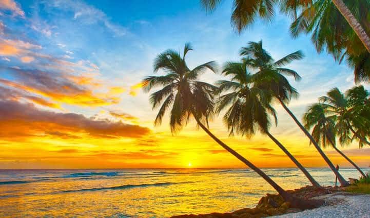 ¡Destinos que quieren que hagas home office desde sus playas!