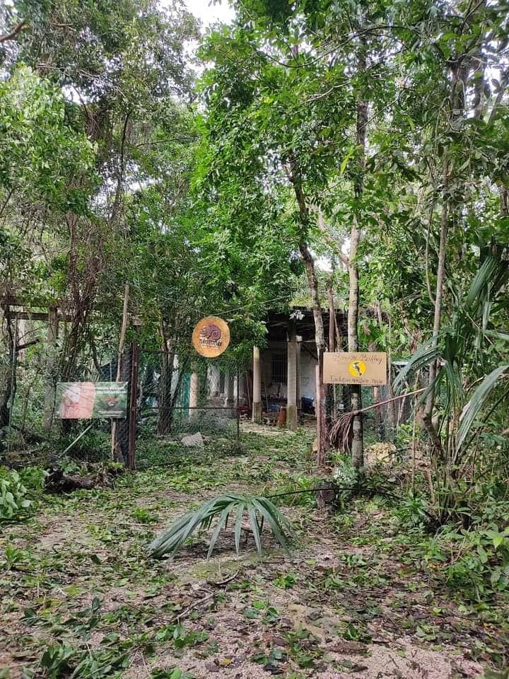 Tras el paso de "Delta", refugio Tlacuatitlán necesita apoyo