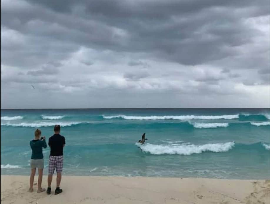Frente Frío N° 13 traerá temperaturas bajas a Quintana Roo este miércoles