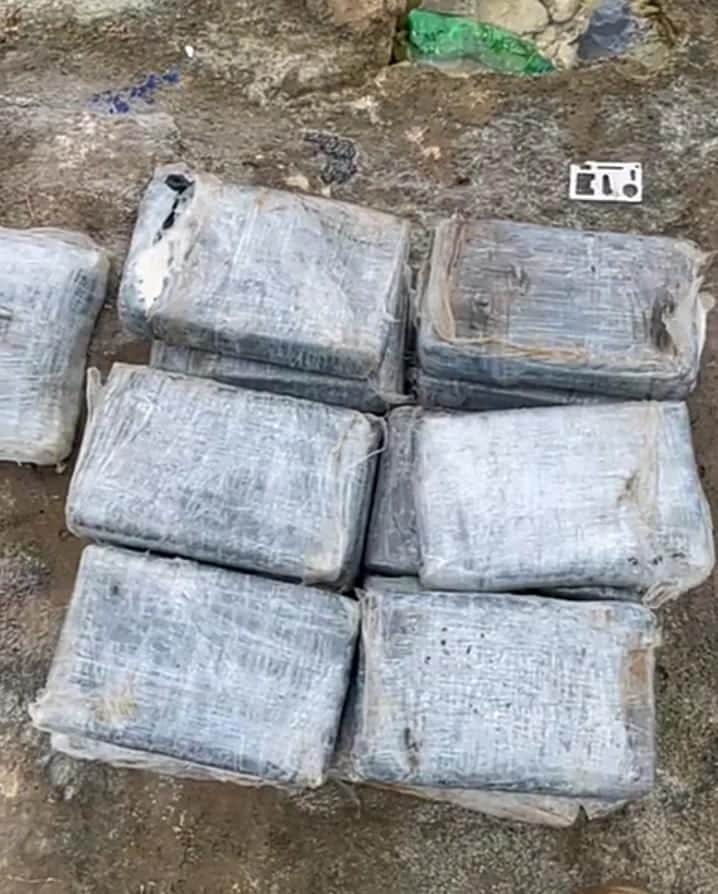 Recalan 19 paquetes de cocaína en la costa de Cozumel