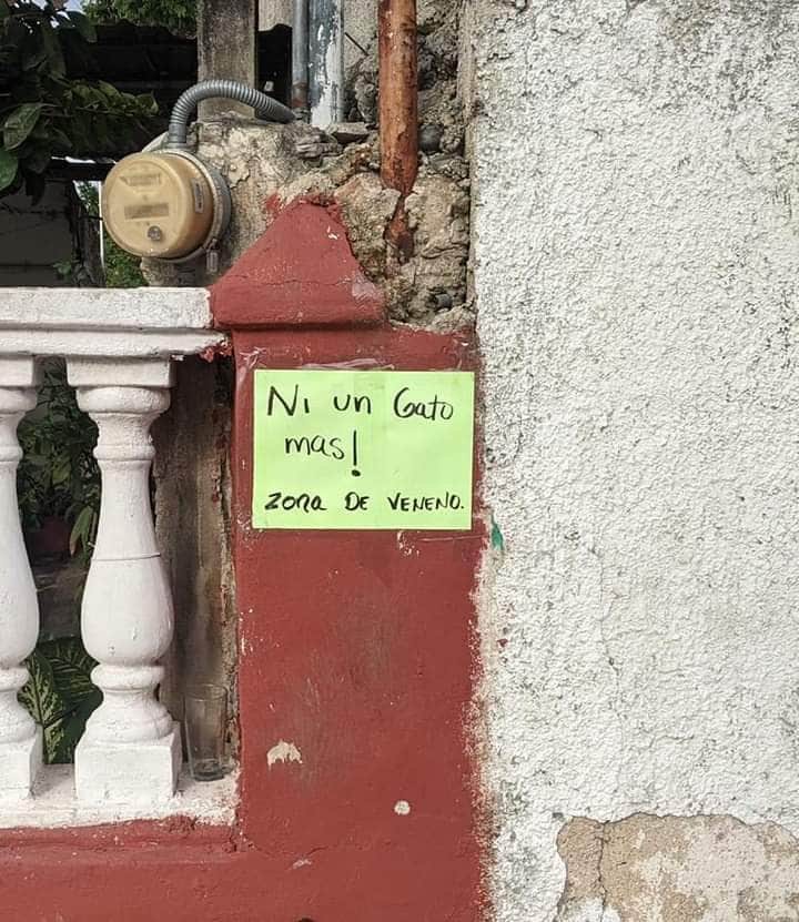 Vecino advierte con letreros que envenenará a perros y gatos en Chuburná