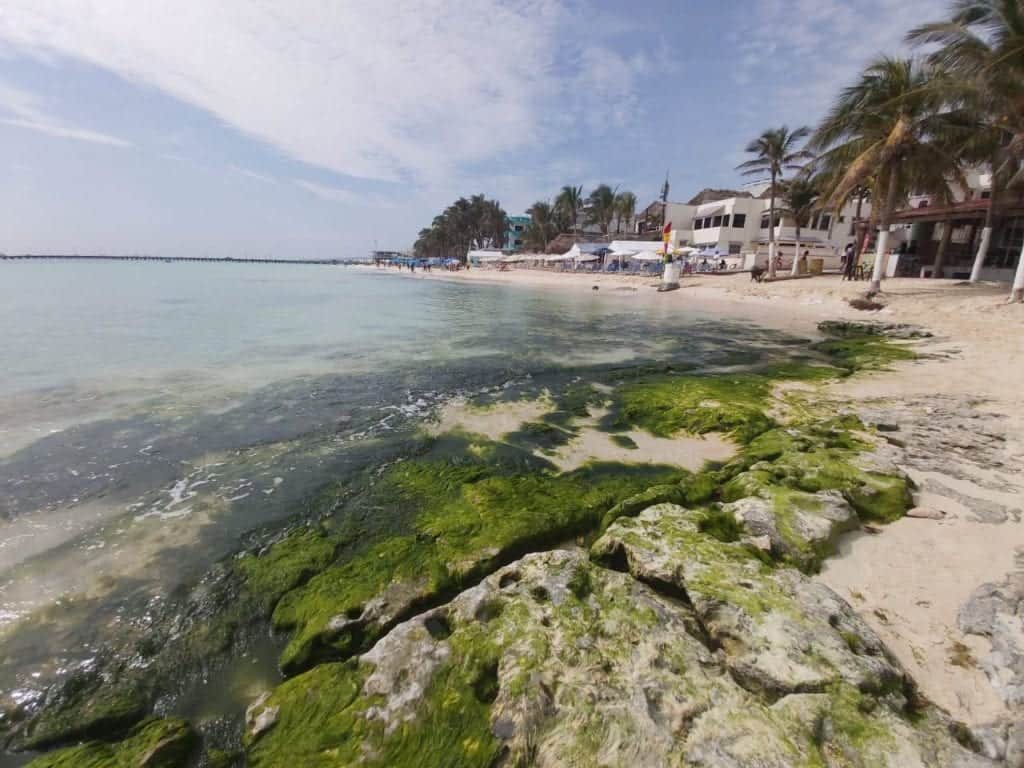 Niveles inéditos de erosión en zona del Recodo de Playa del Carmen