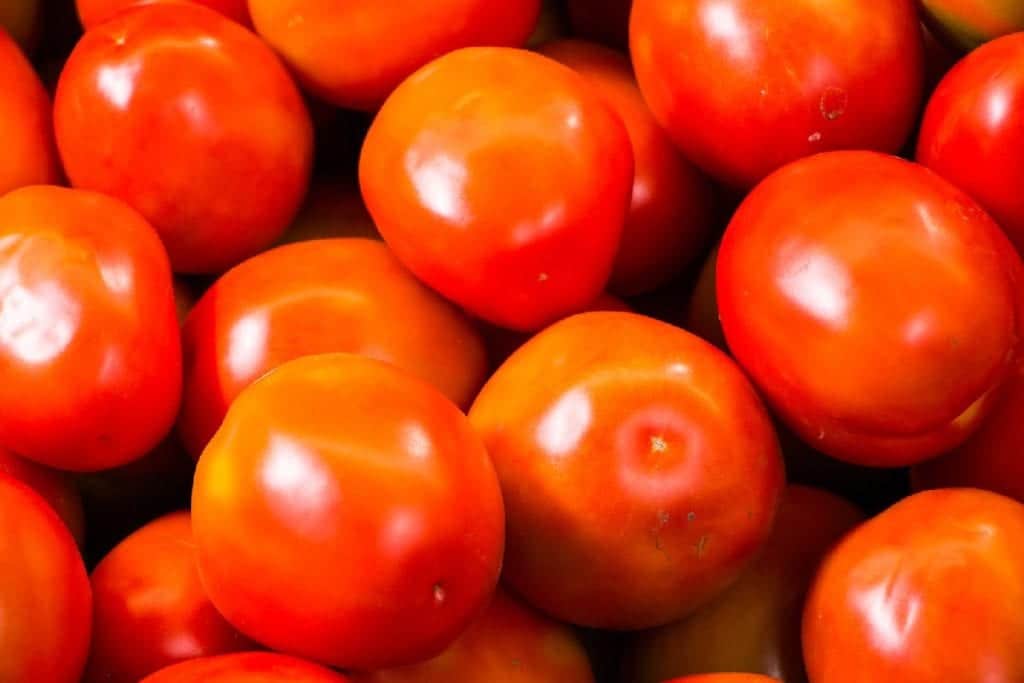 Advierten que la producción de alimentos caería hasta 40% sin el glifosato