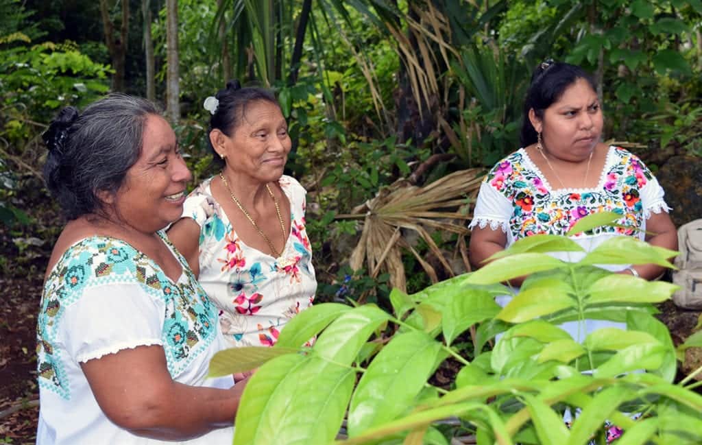 Impulsan en Quintana Roo las capacidades productivas de las mujeres