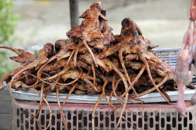 VIDEO: El caldo de rata de campo, un manjar en  nuestro México