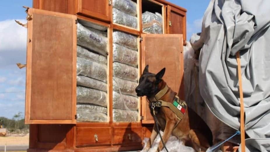 Encuentran en Yucatán media tonelada de droga en roperos, destino final era Q.Roo