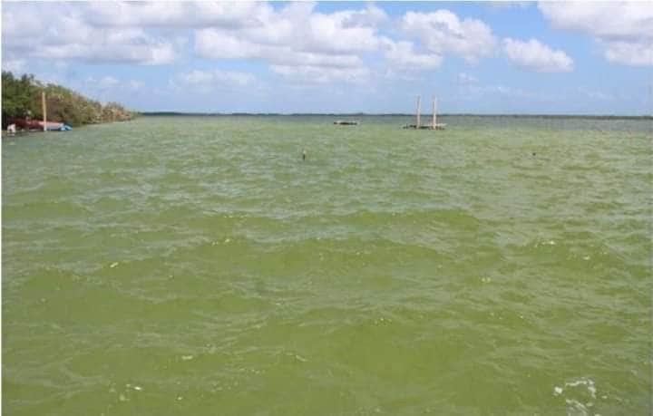 Hay esperanzas, la Laguna de Bacalar podría recuperar sus siete colores