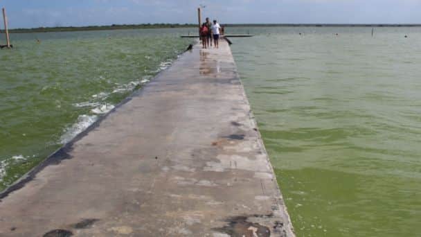 Laguna de Bacalar podría no recuperar sus siete colores