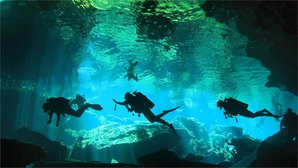 Descubre los cenotes más impresionantes de la Riviera Maya
