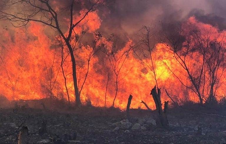 Sequías afectan a Yucatán: Hay incendios y baja producción de miel