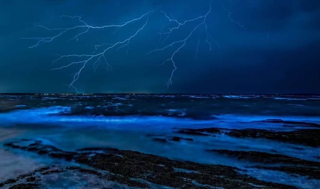 Destinos maravillosos con bioluminiscencia en México que no debes perderte