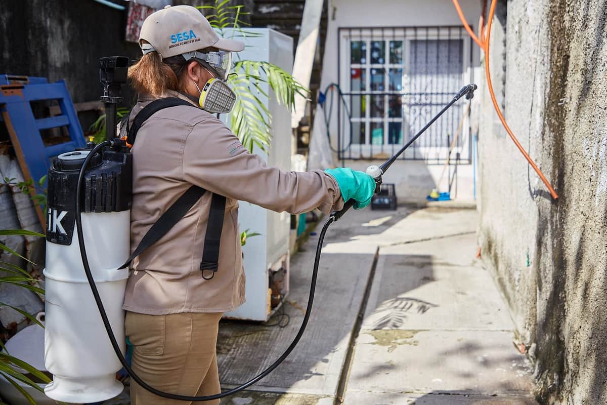 Gracias a acciones preventivas, Cozumel continúa libre de enfermedades transmitidas por vector