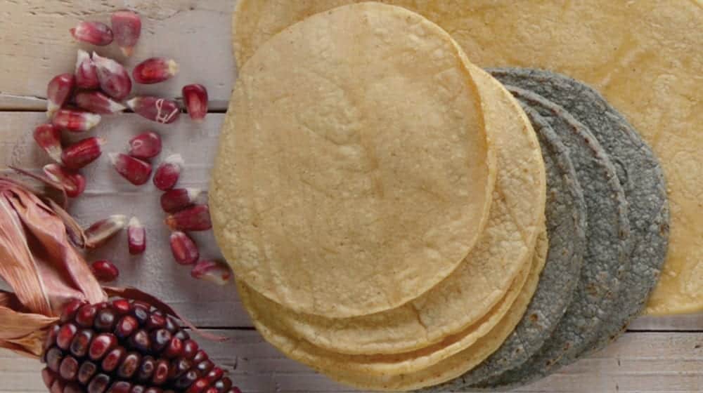 De continuar 'mafia del maíz', empresarios de la masa y la tortilla no podrán contener alza