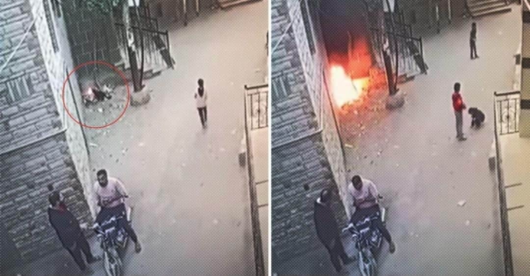 Video: Gato negro se acerca a un basurero y al parecer provoca un incendio