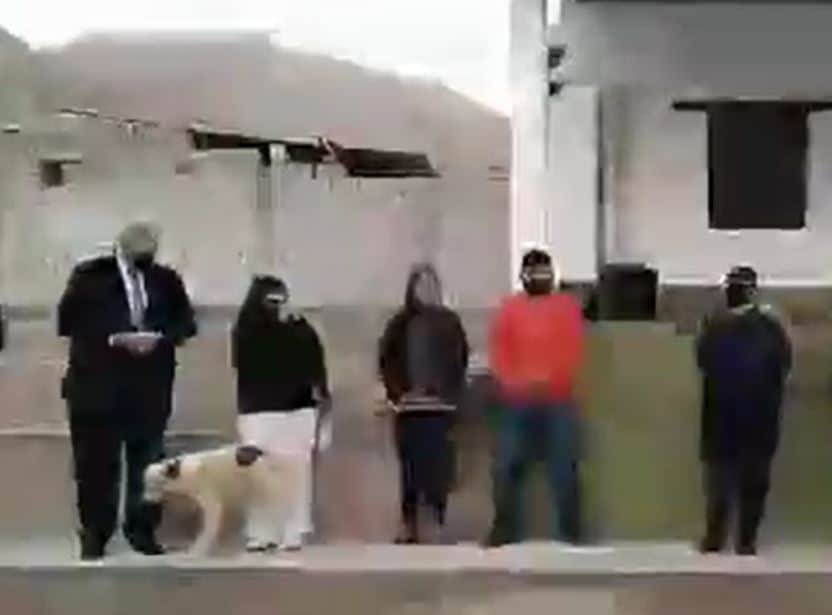 VIDEO: Perro se orina en alcaldesa en pleno evento público