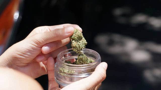 Marihuana: Consumo ha aumentado entre mujeres y ‘generación Z’, según estudio