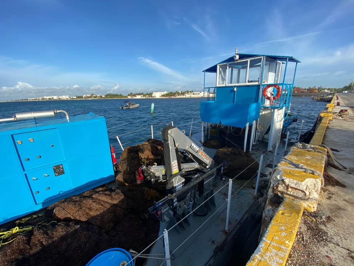 La atención al fenómeno del sargazo requiere de trabajo coordinado: Carlos Joaquín