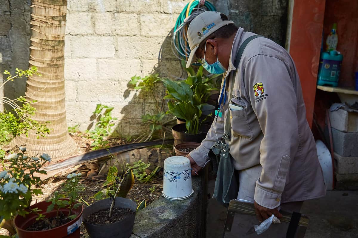 Llevan a cabo labores de control larvario en las colonias Flores Magón e Inviqroo Cuzamil