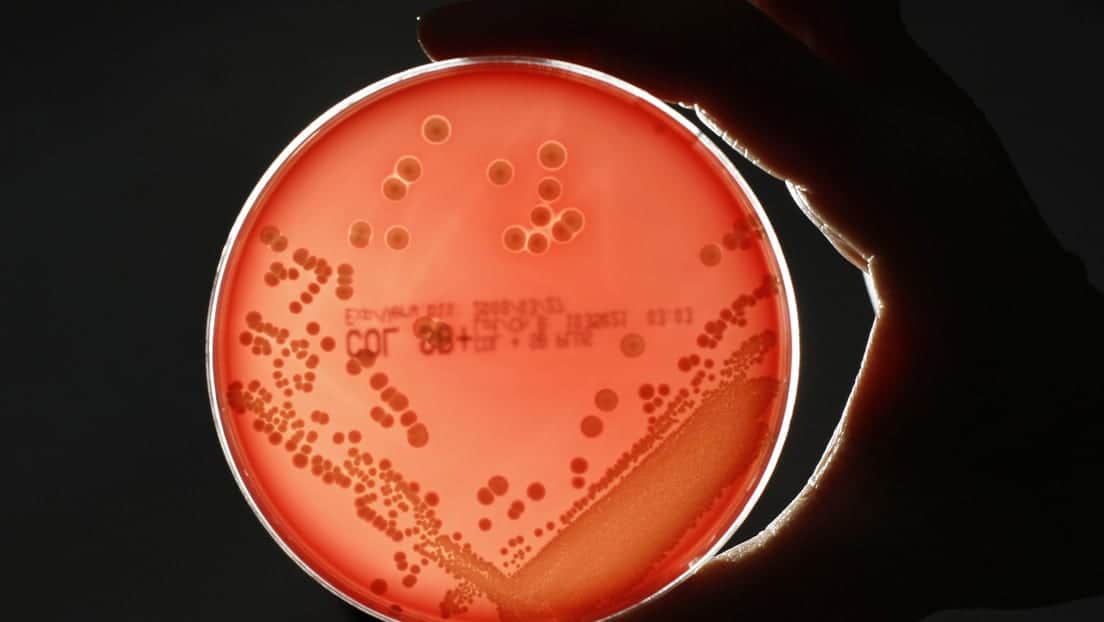 Un hombre se contagia con una bacteria 'comecarne' al rasurarse con una afeitadora ajena