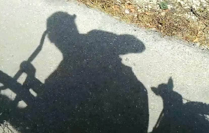 'Patrulla Ciudadana' y el perrito guardián 'Totto', son vecinos unidos que cuidan a playenses