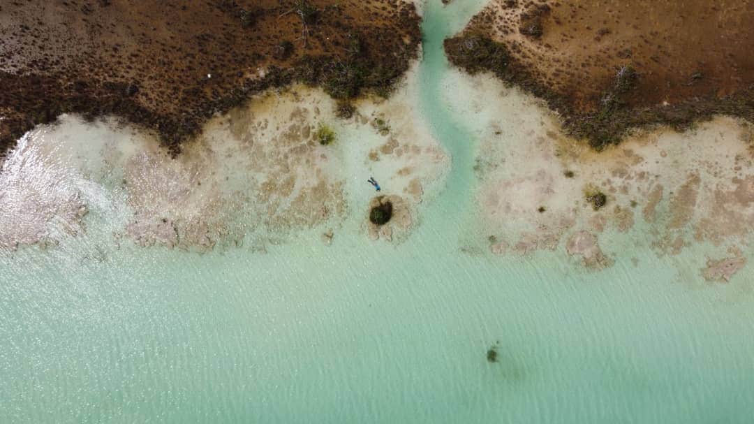 Expedición recorre el Caribe mexicano; determina que sargazo exige solución planetaria