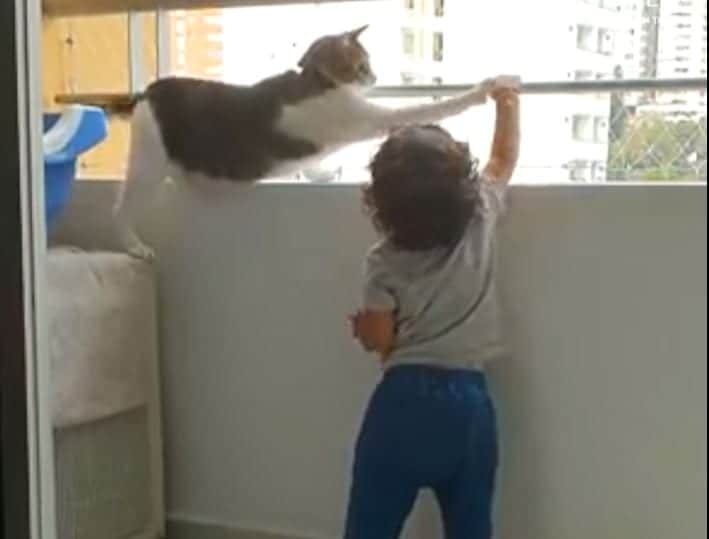 VIDEO: Gatito cuida a niño de montarse en los barrotes de un balcón y se vuelve viral