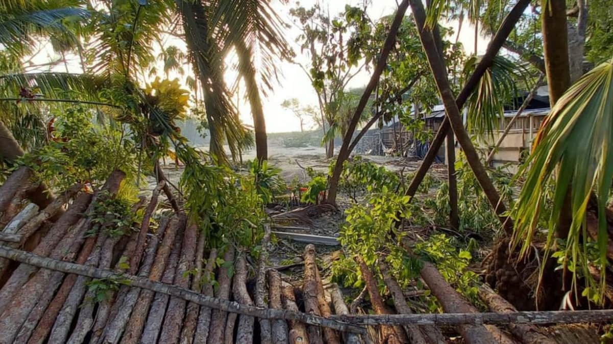 Ambientalistas denuncian devastación de manglar en Tulum por Grupo “Rosa Negra”