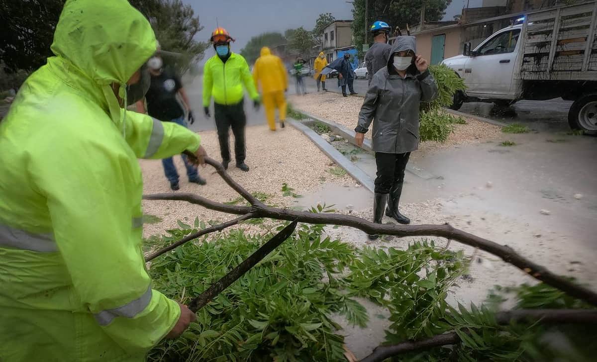 Reportan saldo blanco en Cancún tras paso de Grace