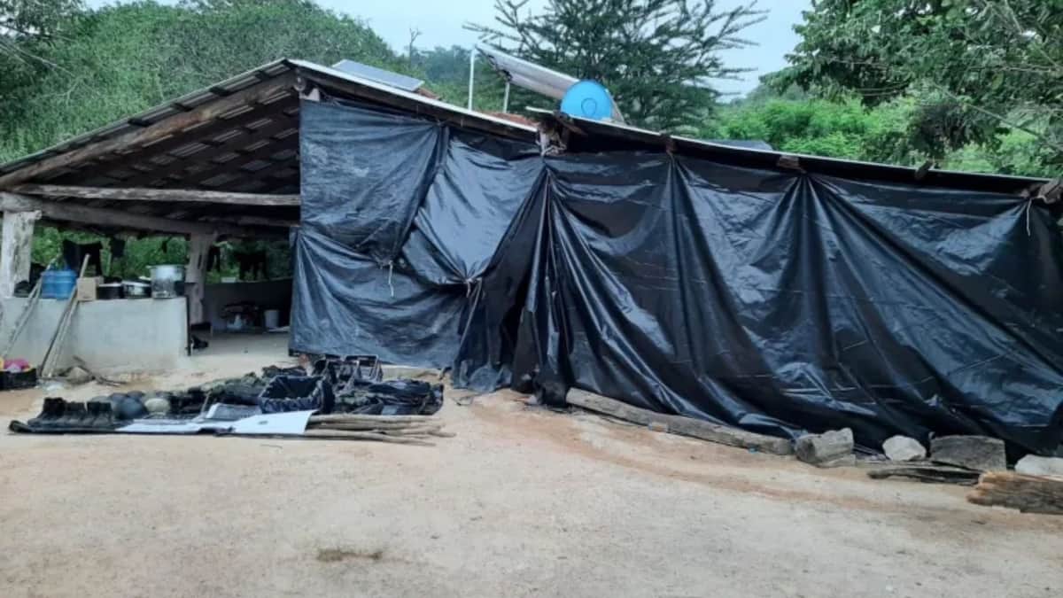 Ejército Mexicano localiza un campamento de adiestramiento clandestino en Jalisco