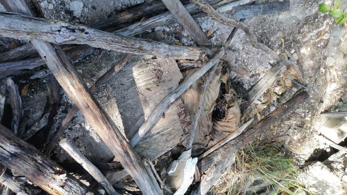 Hallan cuerpo de una persona en avanzado estado de descomposición cerca de la laguna Kaan Luum, en Tulum