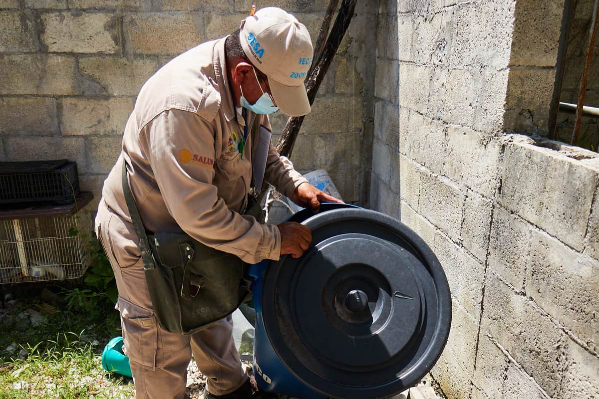 Gobierno de Cozumel realiza acciones contra el mosquito transmisor de enfermedades