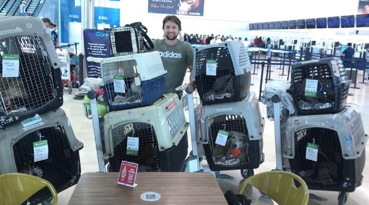 Ocho perritos playenses rescatados vuelan hacia un hogar amoroso en Canadá