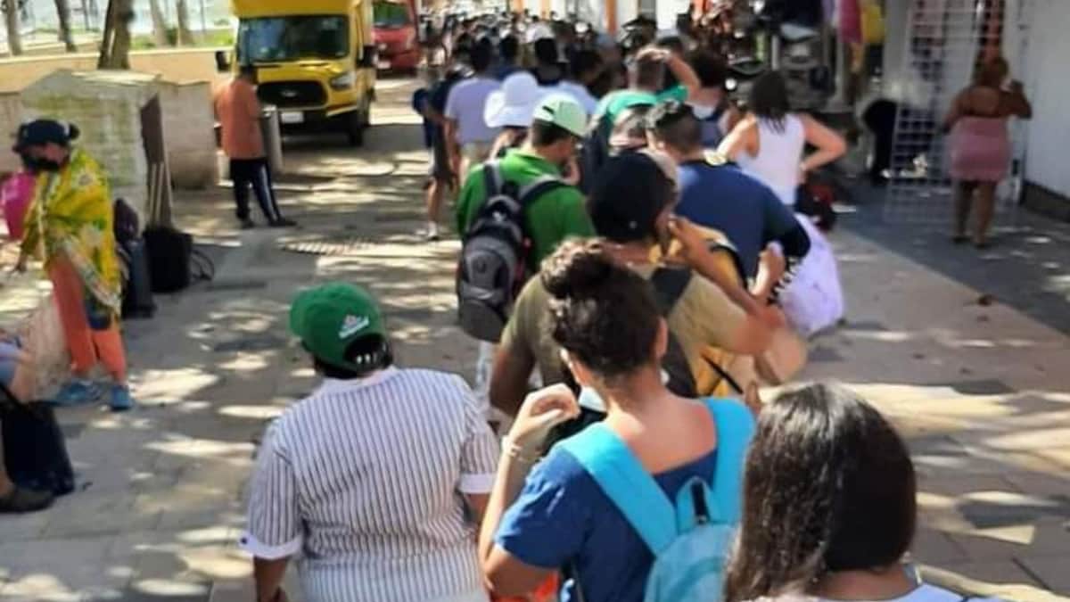 Incumple Ultramar con medidas sanitarias en cruce a Cozumel: COFEPRIS