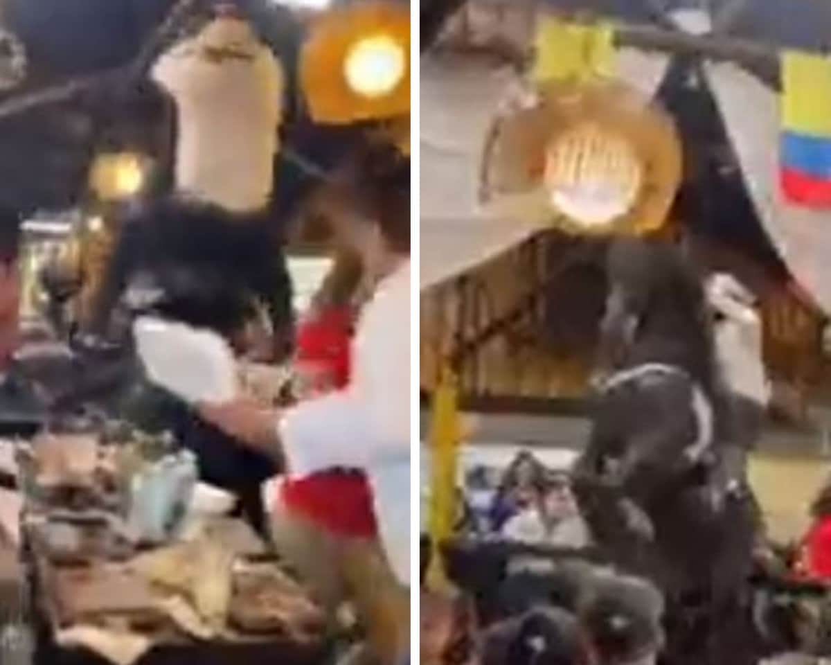 VIDEO: Caballo cae sobre una mesa y asusta a comensales durante show en restaurante
