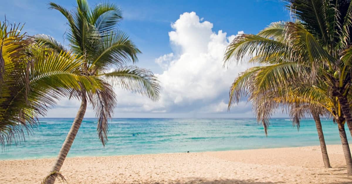 Trabajan en preservación de certificación de Xcacel-Xcacelito