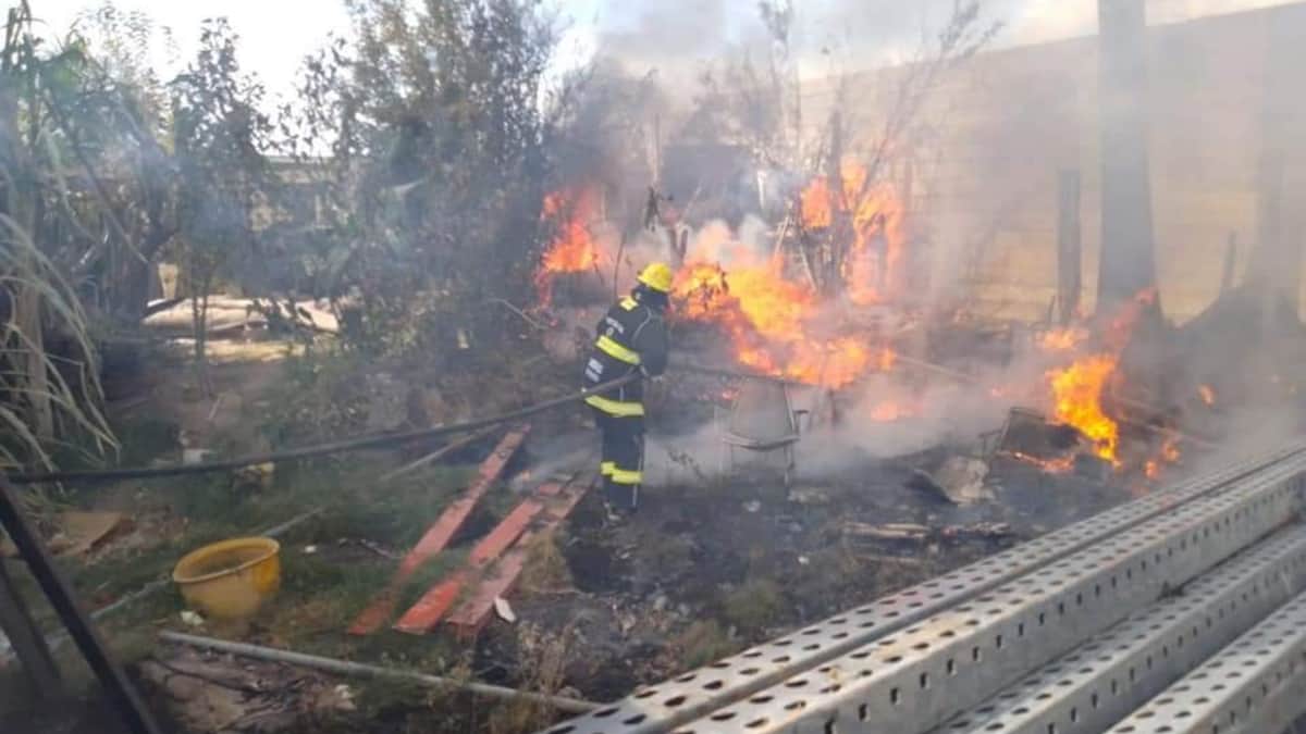 ¡Lamentable! Incendio en casa de Durango deja 30 perritos sin vida